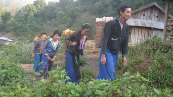 Một hành trình buồn...