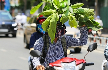 Người cao tuổi cần biết: Mùa hè năm nay sẽ nắng nóng dữ dội