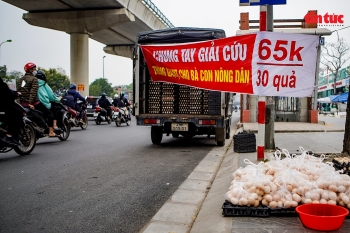 Cần làm rõ nguồn gốc những quả 