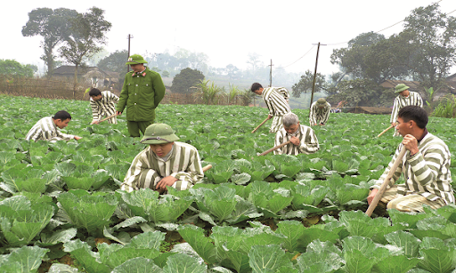 Đề xuất người chấp hành xong án phạt tù được vay vốn kinh doanh tối đa 100 triệu đồng