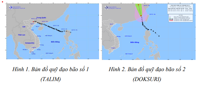 Trong tháng 8, biển Đông có thể xuất hiện 2-3 cơn bão và áp thấp nhiệt đới