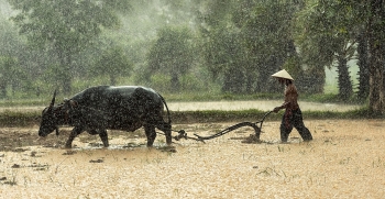 Tử vi 12 con giáp, tử vi ngày 7/9/2023: Tuổi Sửu sung túc