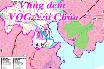 Bộ TN&MT tham vấn chuyển đổi 12ha rừng tại Vườn quốc gia Núi Chúa làm khu nghỉ dưỡng cao cấp