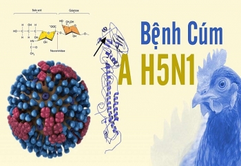 Bộ Y tế thông tin về ca tử vong do mắc cúm A(H5N1) tại Khánh Hòa