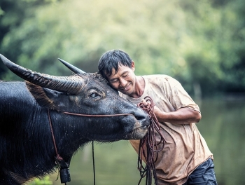 Tử vi 12 con giáp ngày 10/6/2022: Tuổi Tý đang dần dần đánh mất chính con người mình