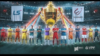 VPF chịu tổn thất doanh thu không nhỏ do V-League 2021 bị hủy