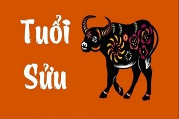 Tử vi 12 con giáp ngày 25/12/2022: Tuổi Sửu chú ý tình cảm đôi bên