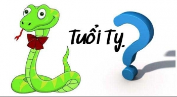 Tử vi 12 con giáp ngày 29/12/2022: Tuổi Tỵ có Quý nhân nâng đỡ