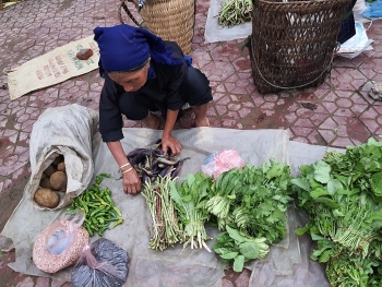 Bảo hiểm xã hội, chỗ dựa khi tuổi già