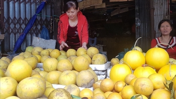 Trái cây bày mâm ngũ quả tăng giá dịp Tết Nguyên đán Tân Sửu