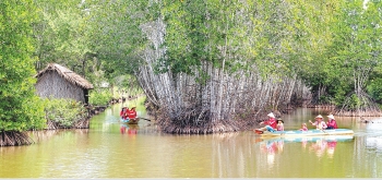 Cà Mau chuyện lạ