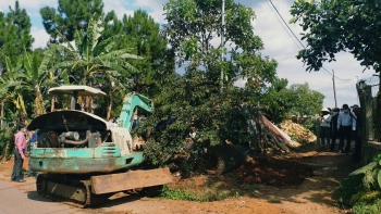 Tỉnh Lâm Đồng: 5 điểm “bất thường” trong quyết định xử phạt của UBND huyện Di Linh!?