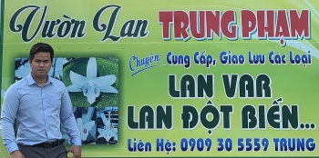 Mập mờ trong thương vụ mua bán lan đột biến tiền tỉ ở TP Cần Thơ: Clip quay nhánh lan đột biến, đâu thật, đâu giả?