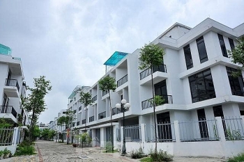 Cục Thuế TP. Hà Nội 